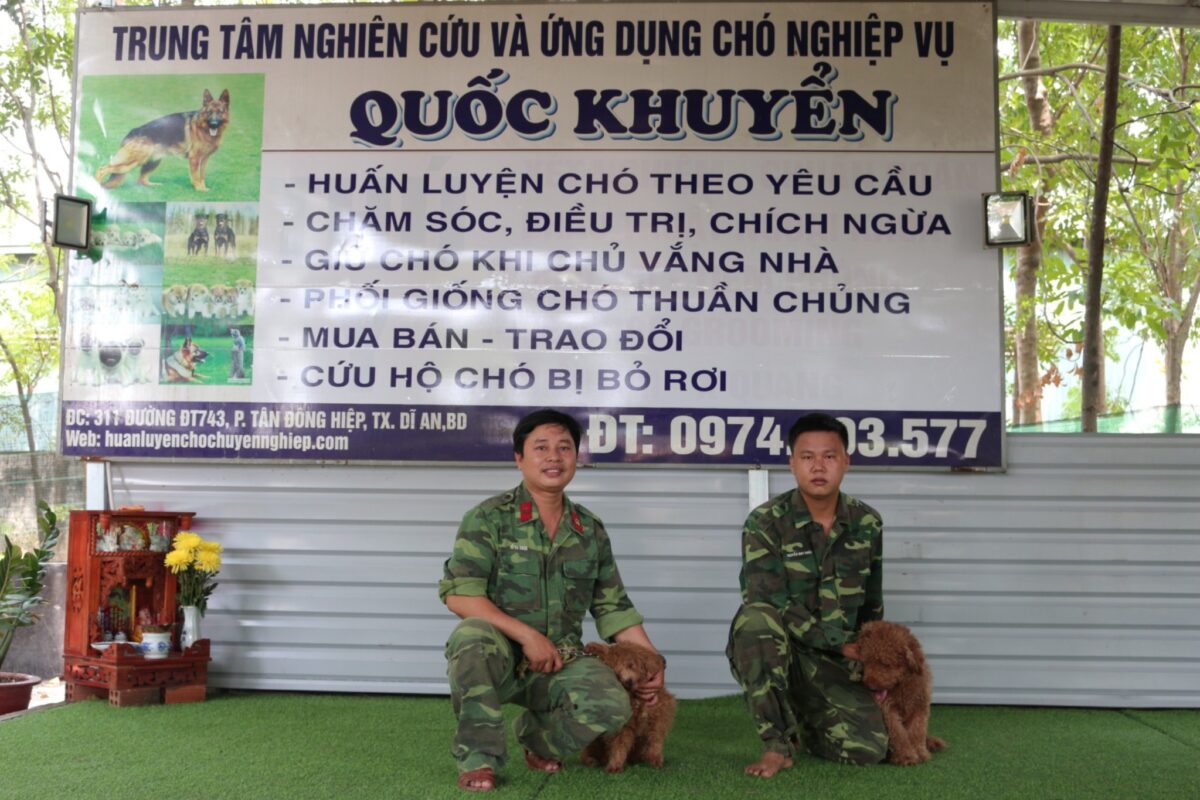 giá huấn luyện chó