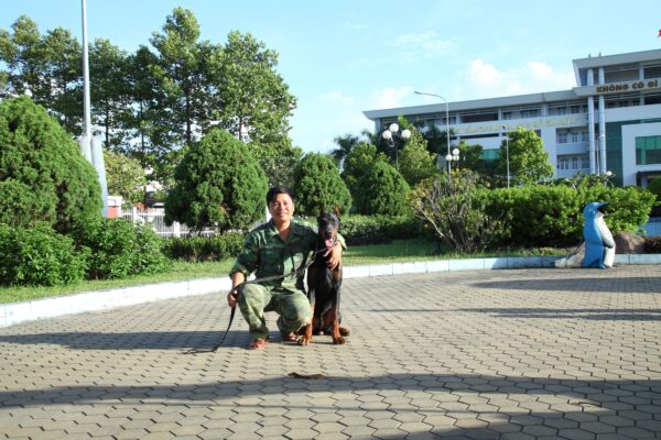 Kinh nghiệm chọn trường huấn luyện chó Bình Phước uy tín và chất lượng