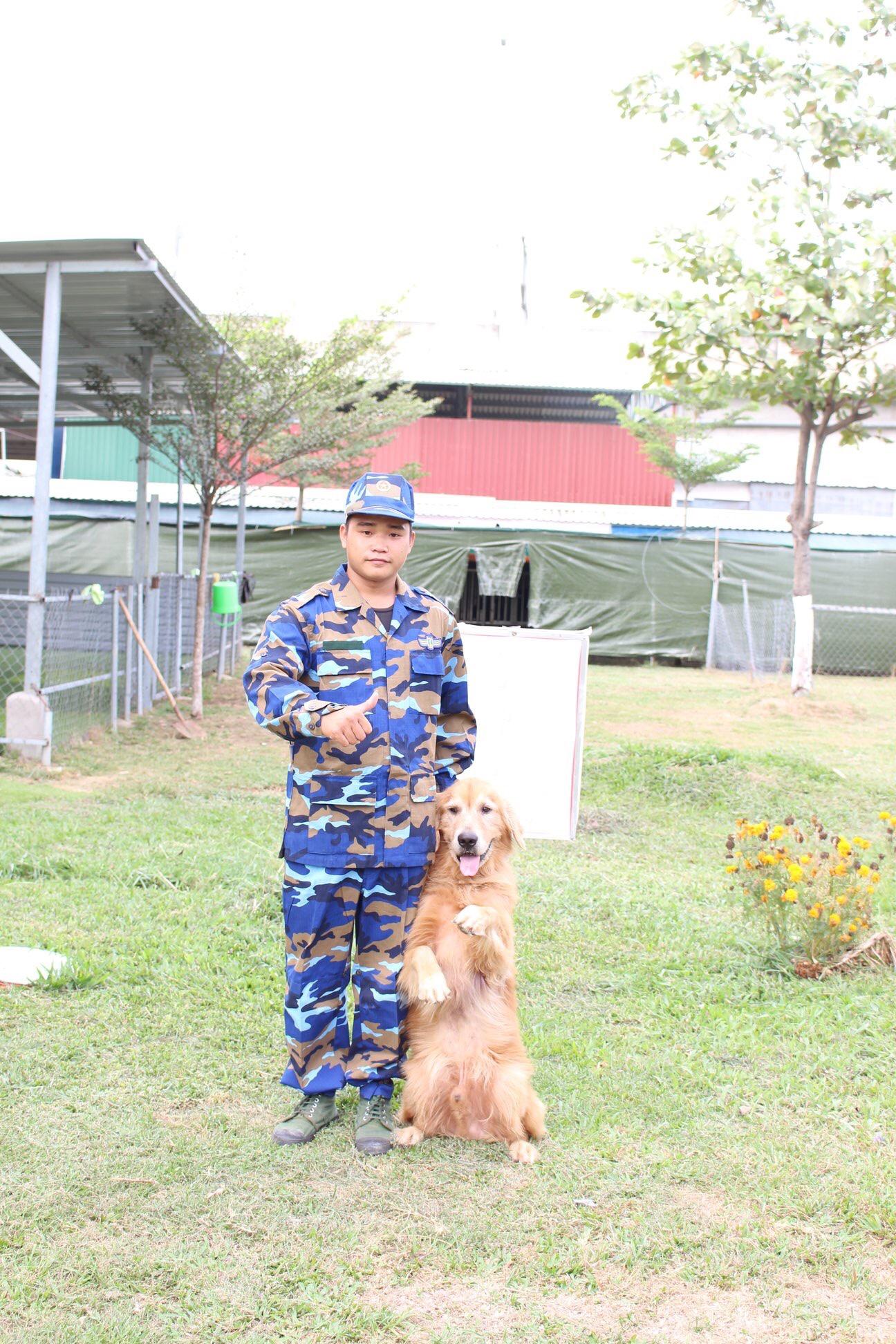 Kinh nghiệm chọn trường huấn luyện chó quận Bình Tân ưng ý