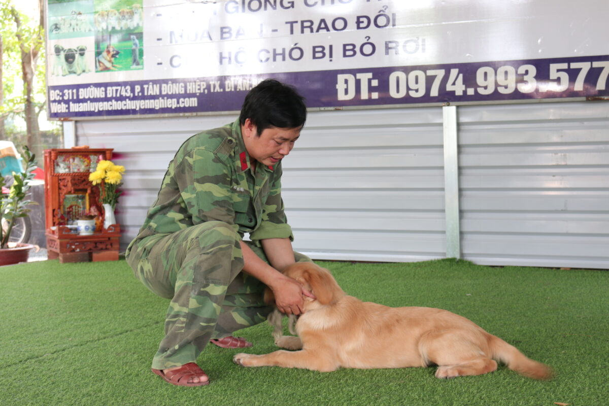 Kinh nghiệm để chọn trường huấn luyện chó Vĩnh Long đạt chuẩn