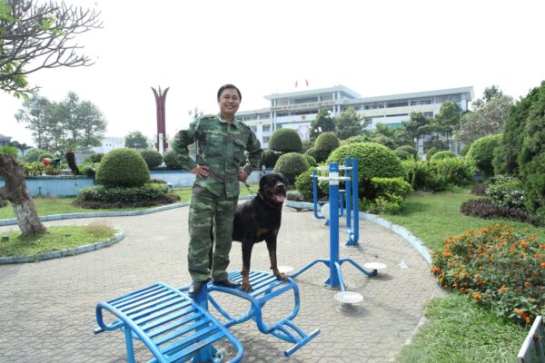 Lưu ý khi chọn trường huấn luyện chó Tây Ninh đảm bảo