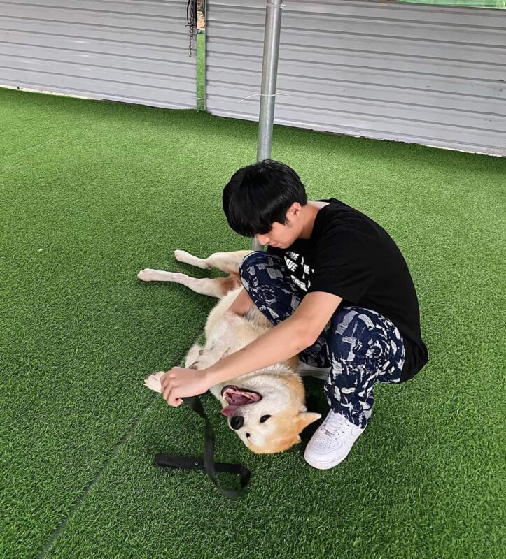Lưu ý quan trọng khi chọn trường huấn luyện chó quận Tân Phú uy tín