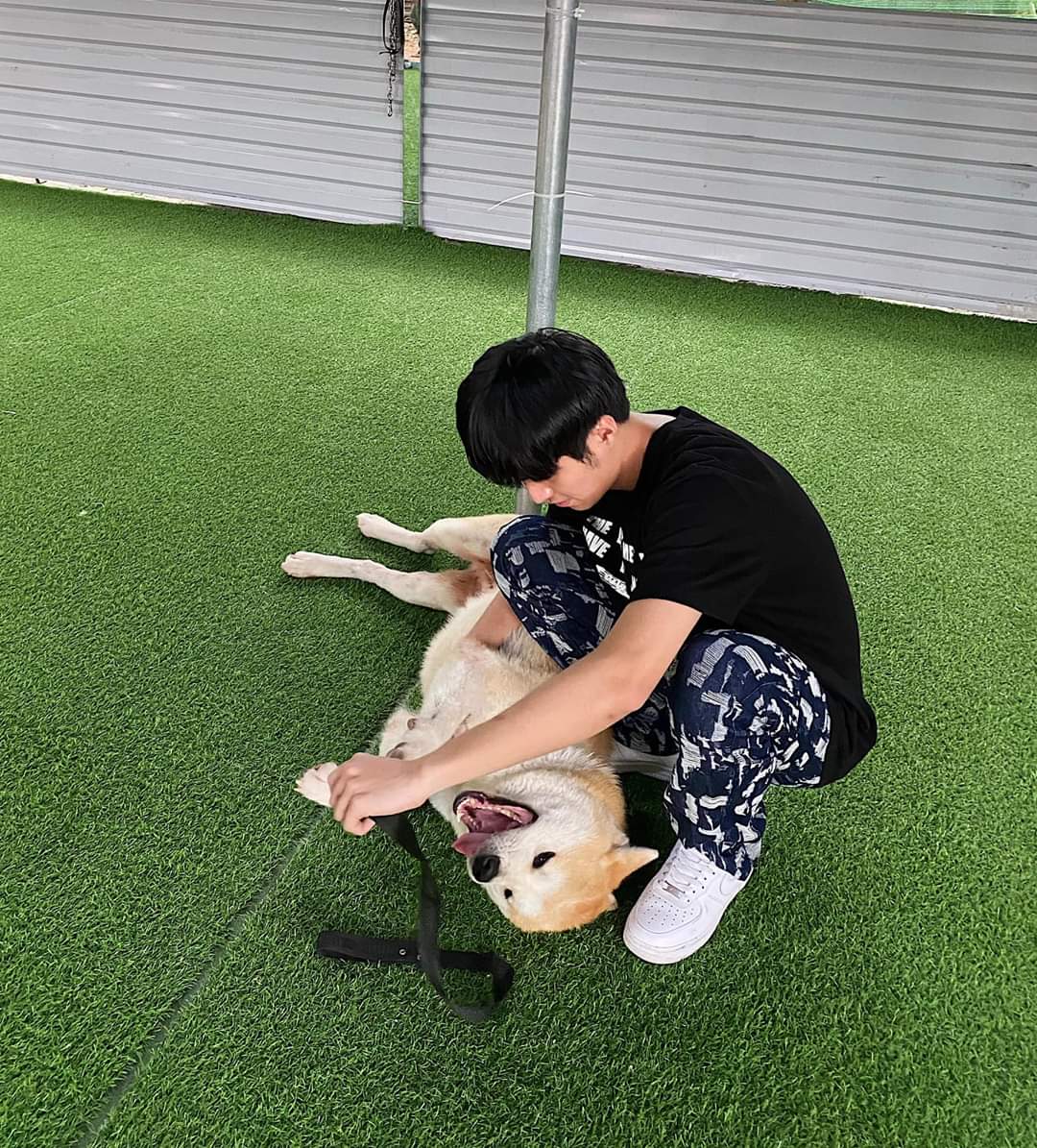 Lưu ý quan trọng khi chọn trường huấn luyện chó quận Tân Phú uy tín