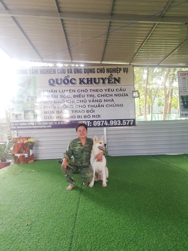 Mẹo chọn trường huấn luyện chó quận Phú Nhuận uy tín chất lượng