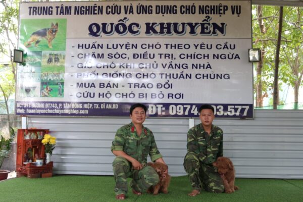 Tiêu chuẩn chó Poodle thuần chủng mà chúng ta cần biết