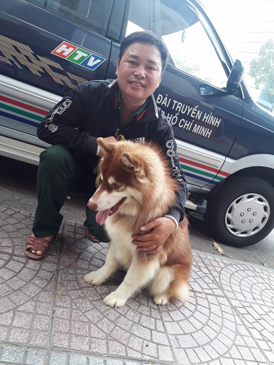 Dich vụ cho thuê chó tại quận 7 thành phố Hồ Chí Minh