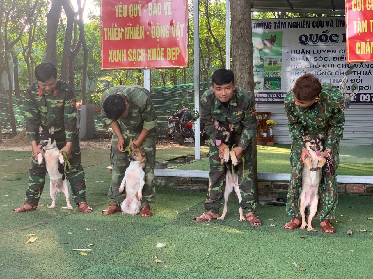 Dịch vụ lưu trú chó tại Quốc Khuyển – Giải pháp an tâm khi bạn đi xa